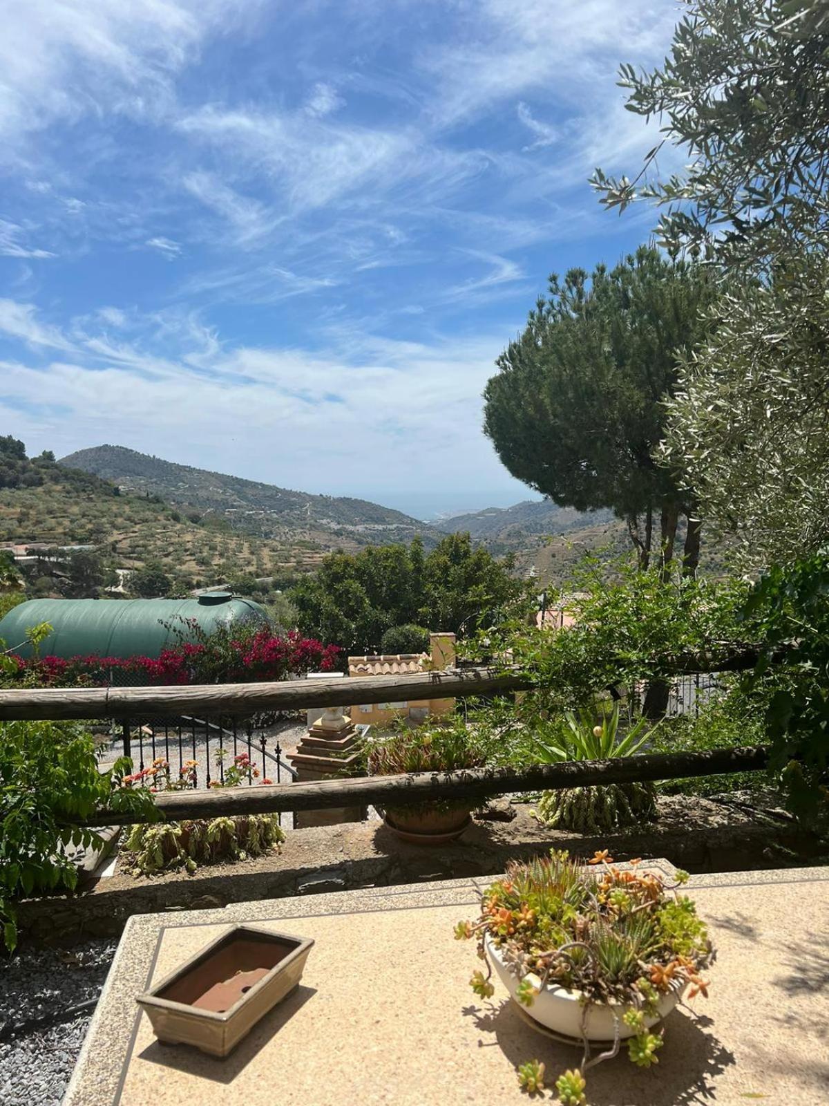 Los Olivos 马拉加 外观 照片