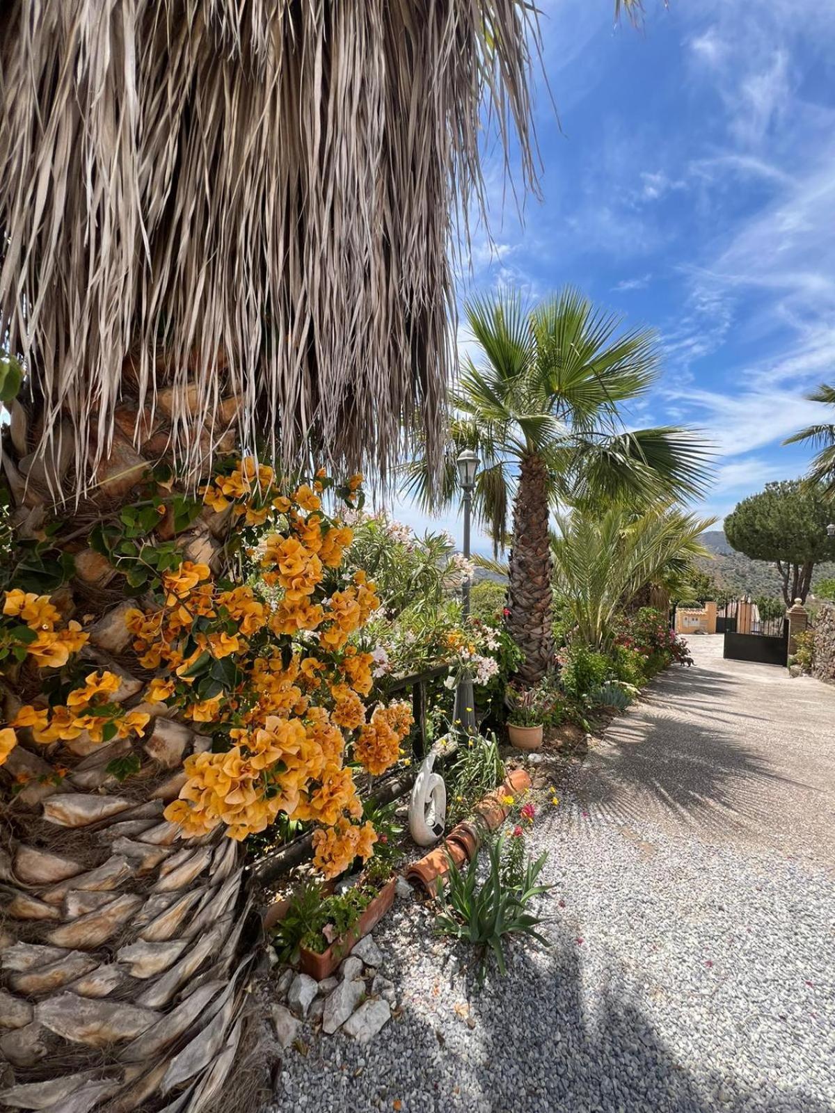 Los Olivos 马拉加 外观 照片